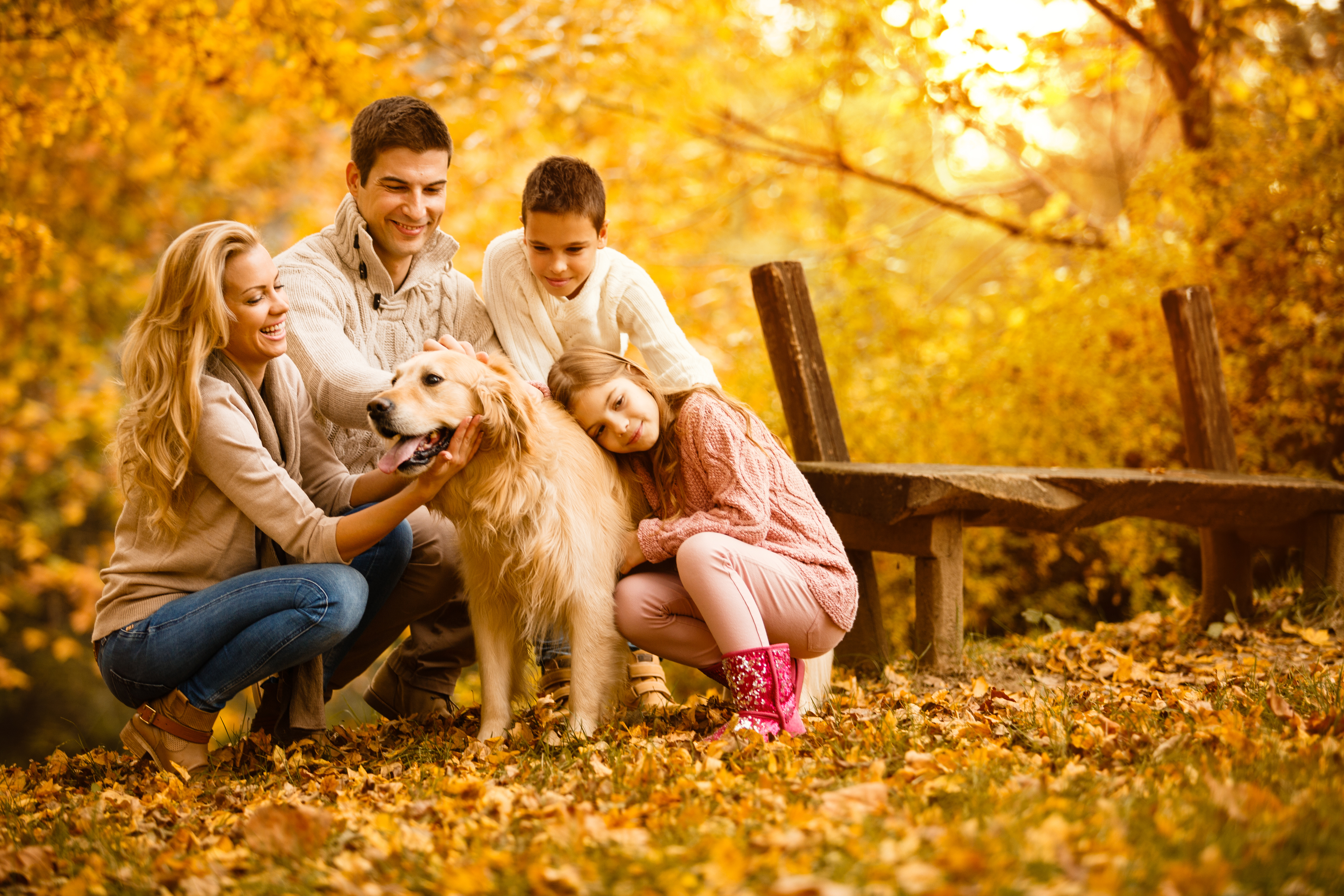 Don’t Let Your Pet Fall Victim to Autumn Allergies